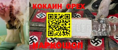 шишки Дубна