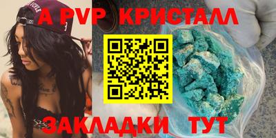 шишки Дубна