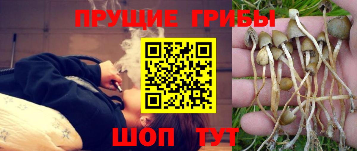 Магнитогорск  Псилоцибиновые грибы Psilocybe  Вход с VPN 